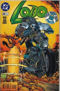 Lobo 24/1996 