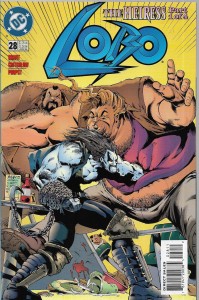Lobo 28/1996 