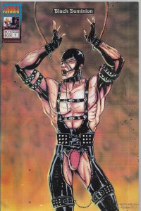 Black Dominion 1/1993 Pin-Up 
