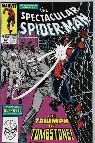 spider 13.jpg