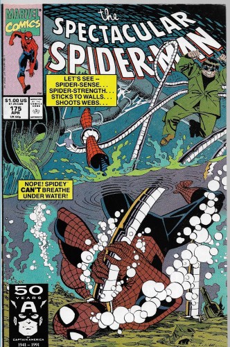 spider 7.jpg