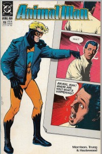 Animal Man 19/1990  