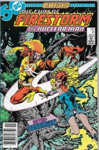 The Fury of Firestorm 41/1985 